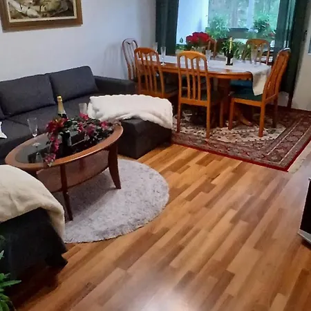 Lejlighed Saimaa Parkview Luxury *